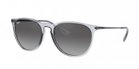 Ray Ban RB4171 651611 ERIKA